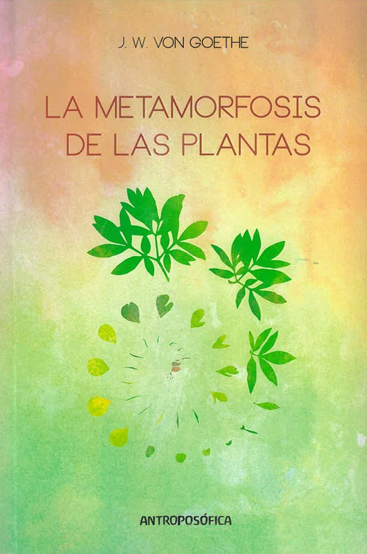 La metamorfosis de las plantas 🌿