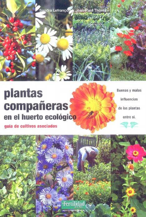 Plantas compañeras en el huerto ecológico